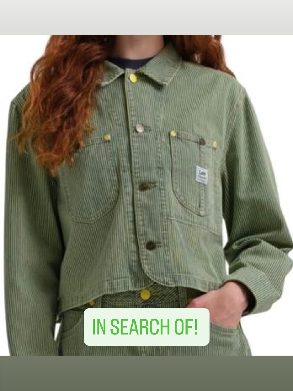 ISO: Lee x Crayola Green Railroad Hickory Stripe Cropped Chore Coat